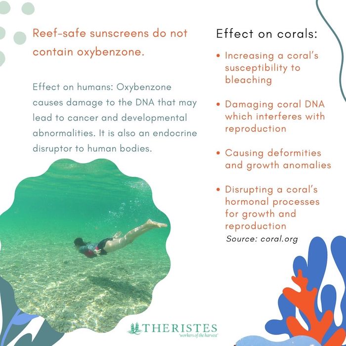 100% Natural REEF-SAFE Non-Toxic Sunscreen SPF 25 (sold in refillable silicone tubes)